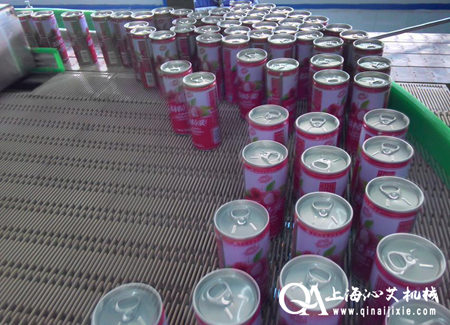 模塊網(wǎng)帶鏈輸送機(jī)